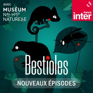 Bestioles
