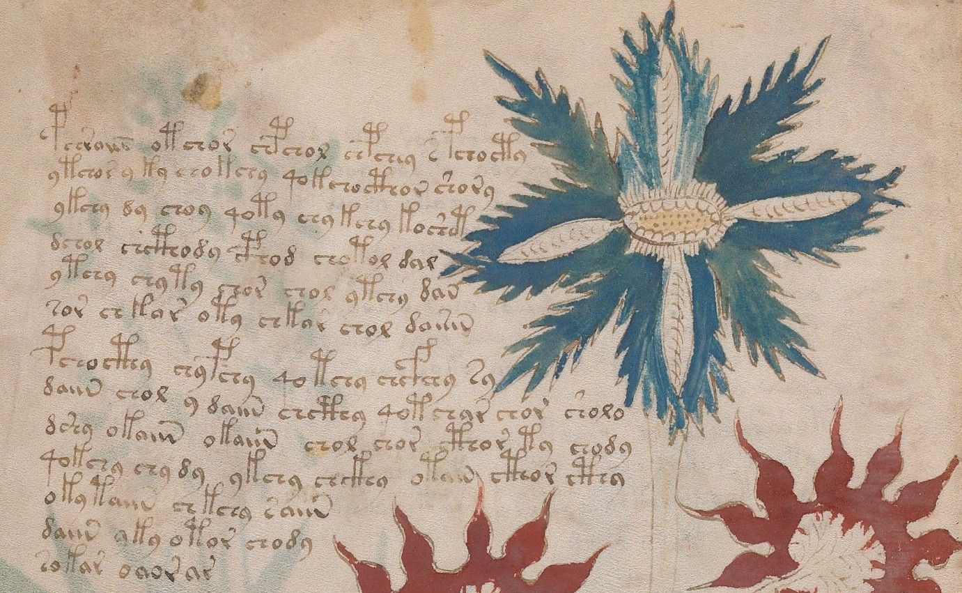 Un extrait du chapitre probablement consacré à la botanique dans le Manuscrit de Voynich.