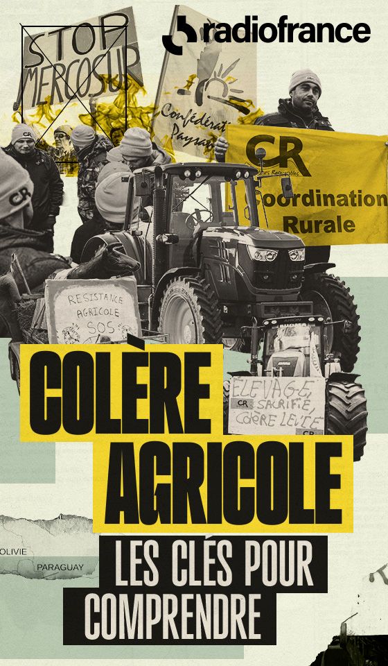 Colère agricole : les clés pour comprendre