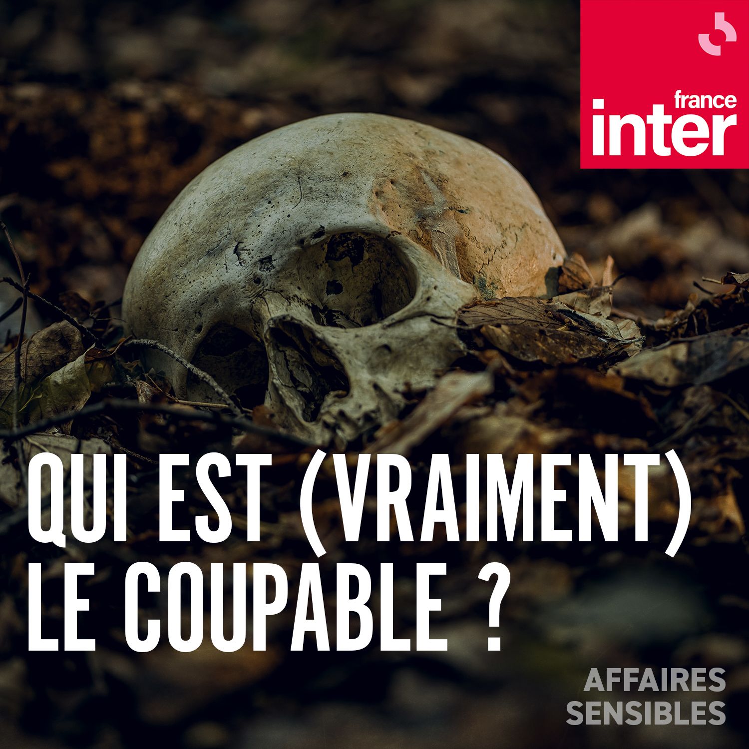 Qui est (vraiment) le coupable