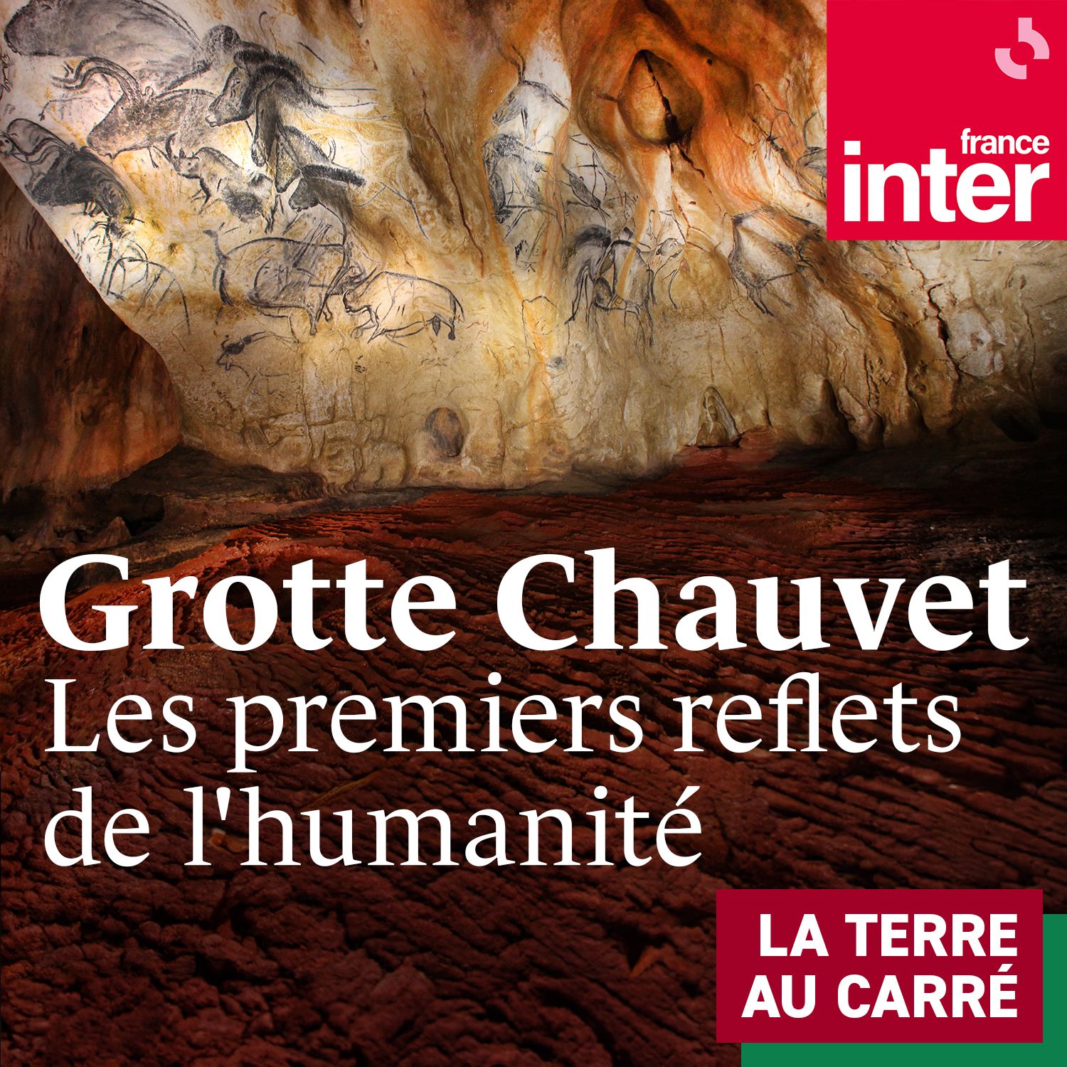 Grotte Chauvet : les premiers reflets de l'humanité - carré