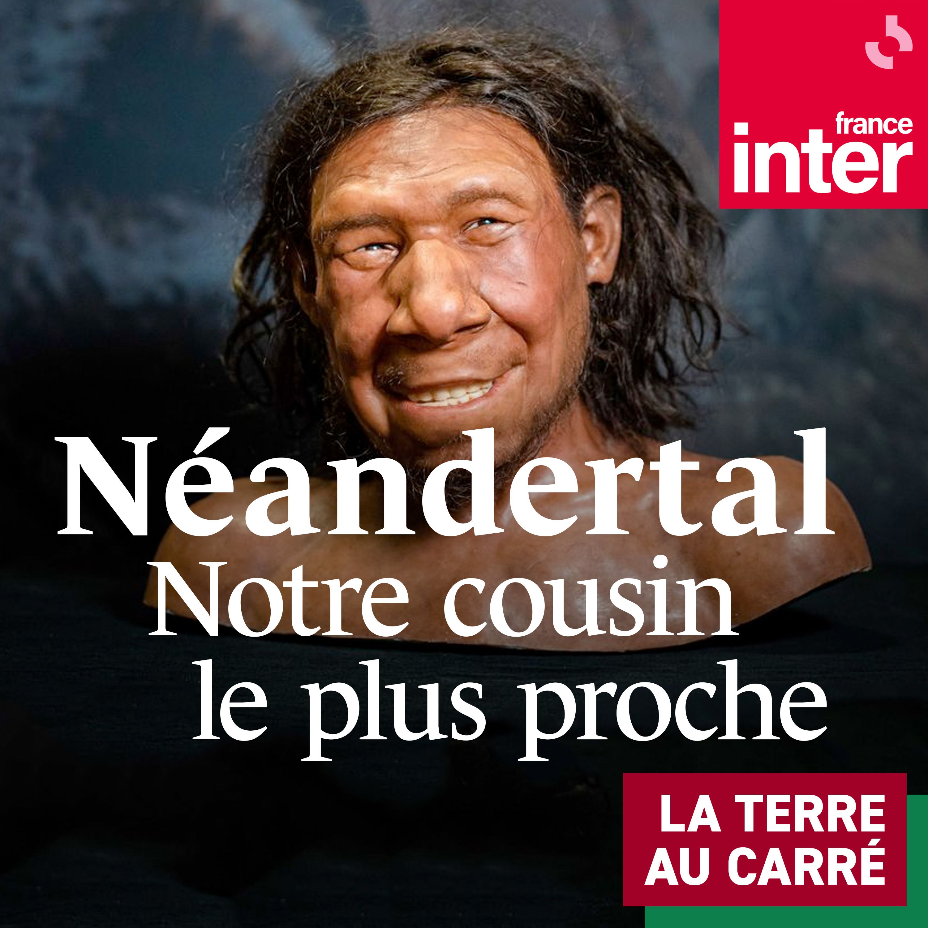 Néandertal, notre cousin le plus proche - Carré