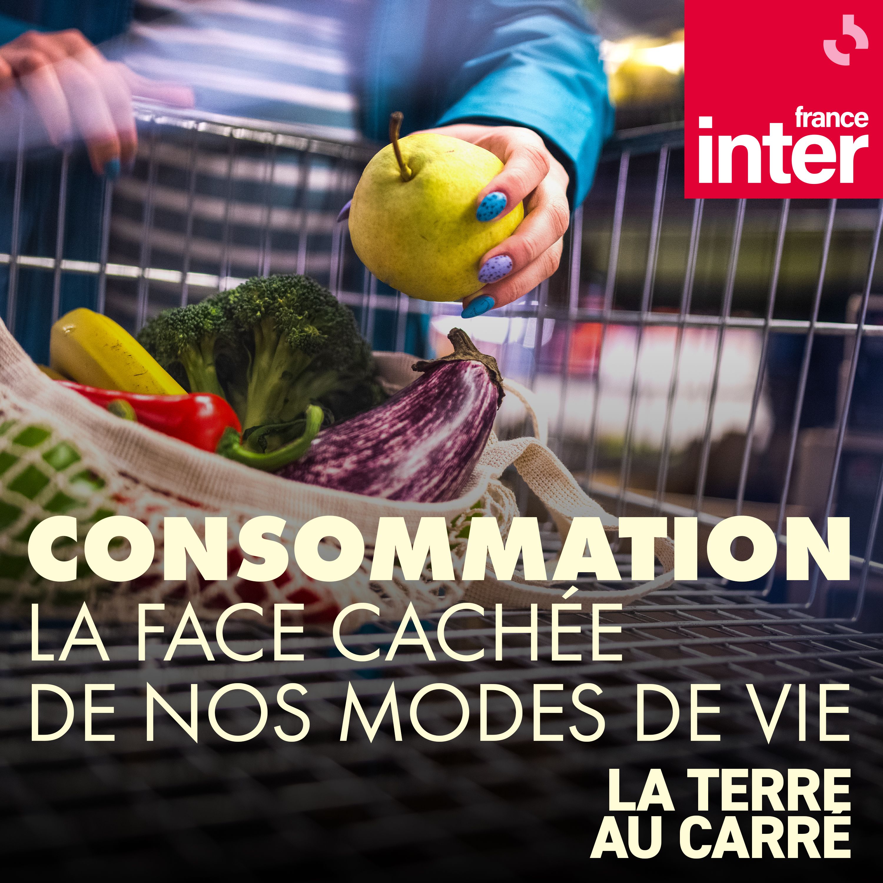 Consommation, la face cachée de nos modes de vie - carré
