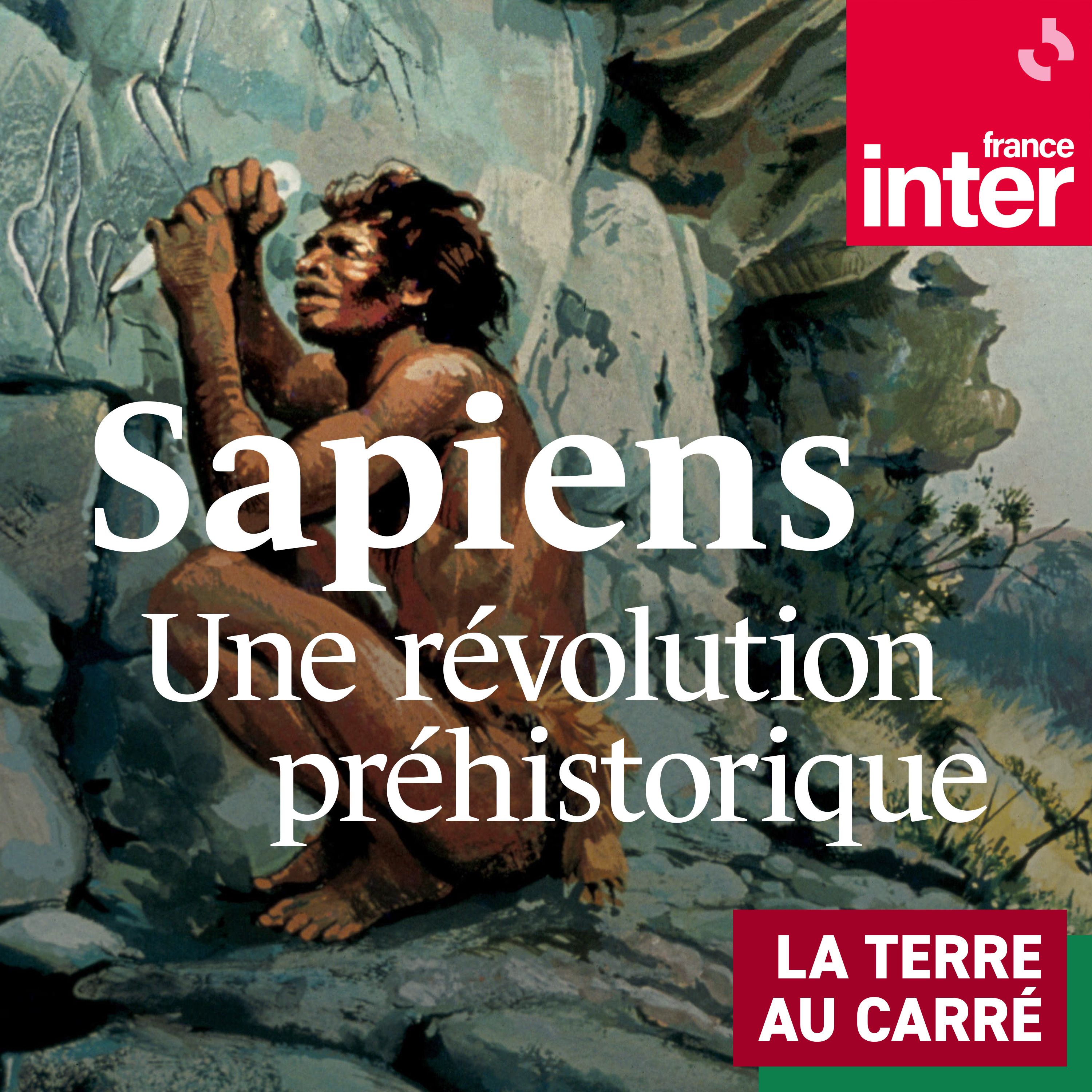 Sapiens, une révolution préhistorique - carré