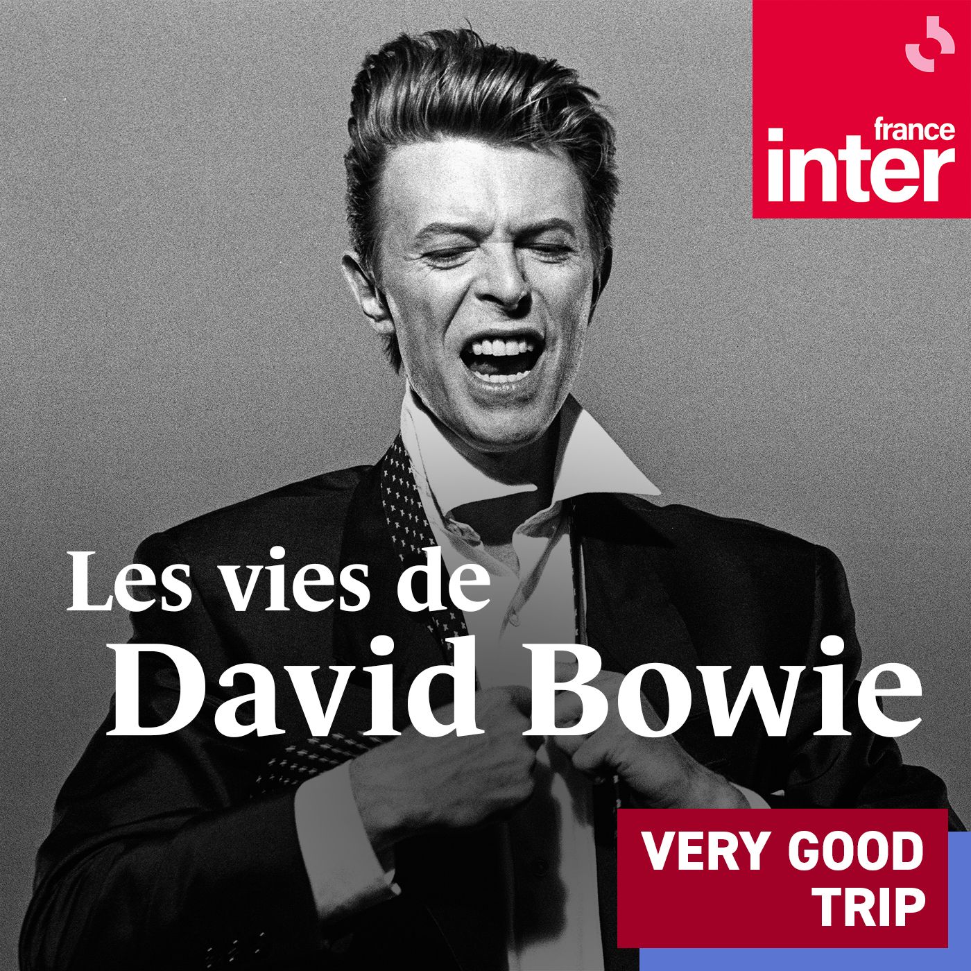 Les vies de David Bowie