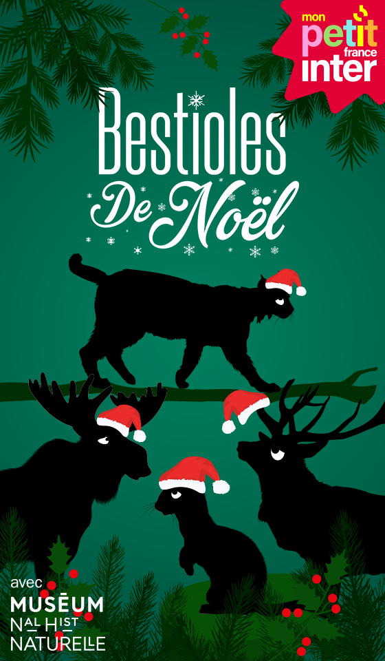 Bestioles de Noël - vertical