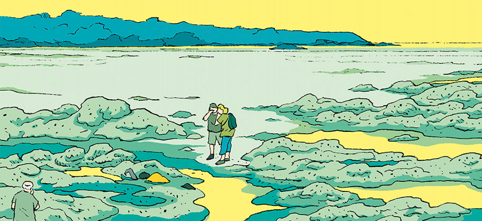 Détail de la BD "Les Algues vertes" d’Inès Léraud et Pierre Van Hove.